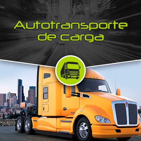 ADS Logic en la industria del Autotransporte de carga